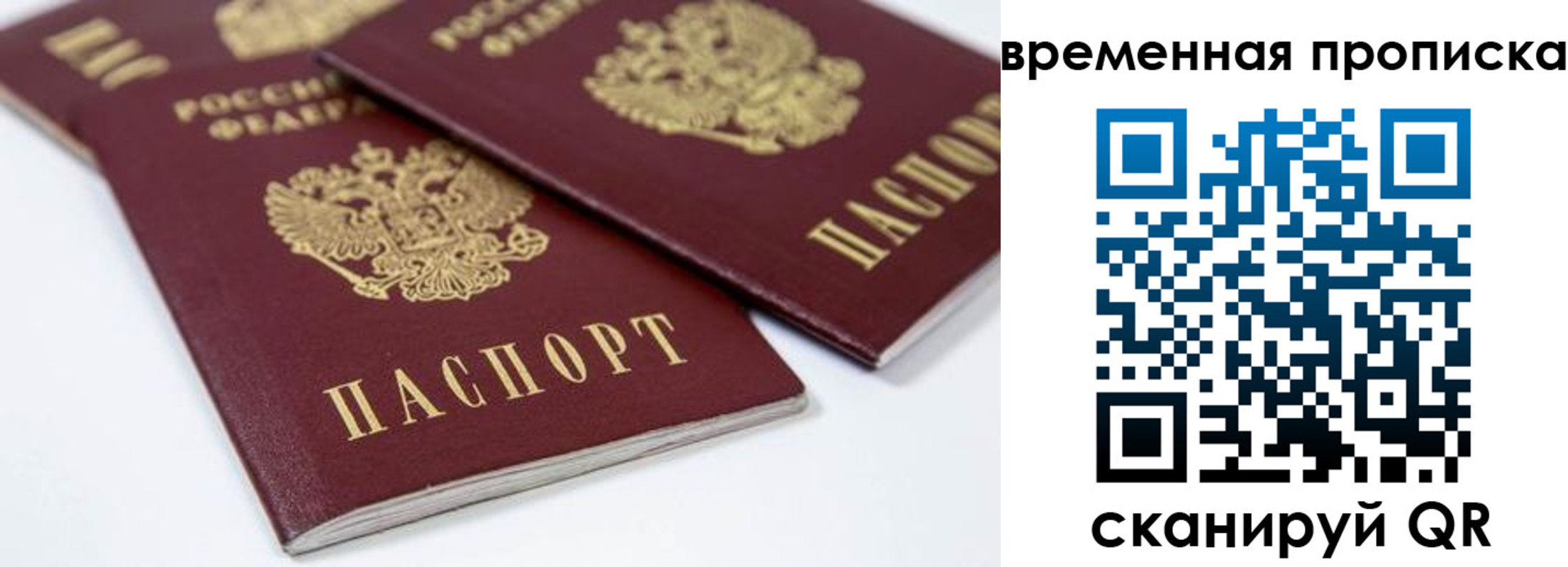прописка для школы в Зеленоградске